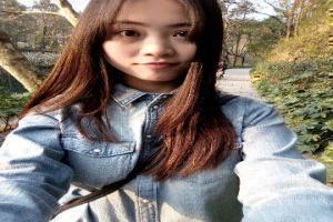 春物团子壁纸竖屏